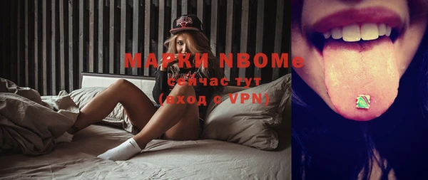 молекула духа Надым