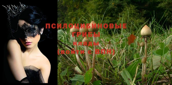 молекула духа Наволоки