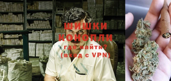 молекула духа Надым