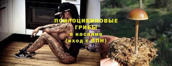 молекула духа Надым