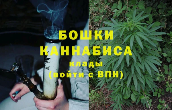 2c-b Богданович