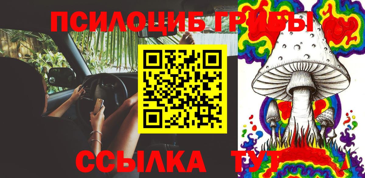 наркота  Вход с VPN  Удомля  Псилоцибиновые грибы мухоморы 