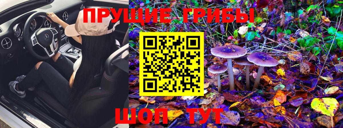 Галлюциногенные грибы Cubensis Удомля