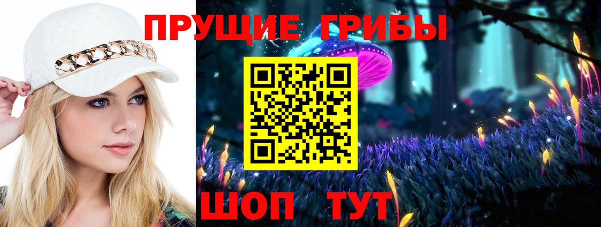 Псилоцибиновые грибы прущие грибы Удомля